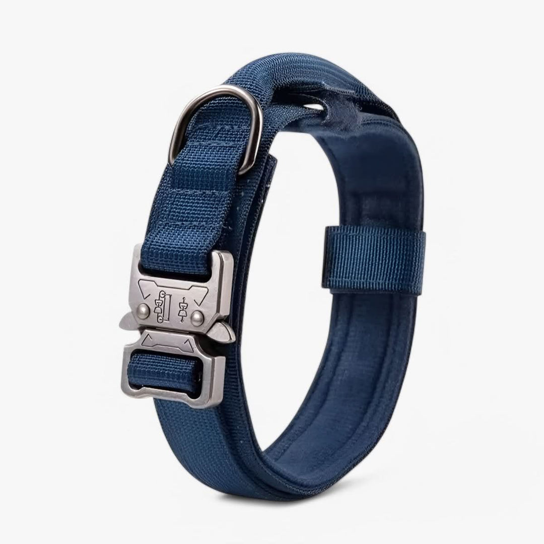Justerbar Hundhalsband Set för Äventyr och Daglig Träning