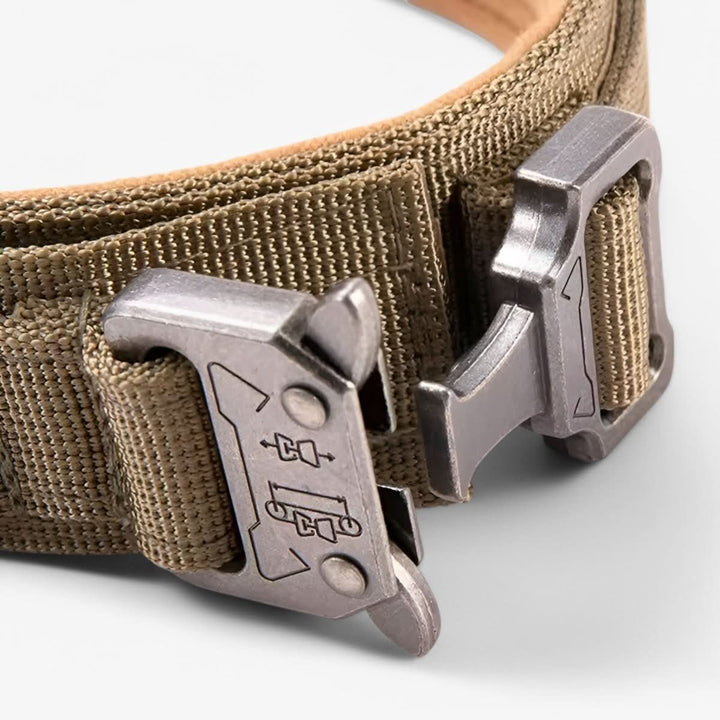 Justerbar Hundhalsband Set för Äventyr och Daglig Träning